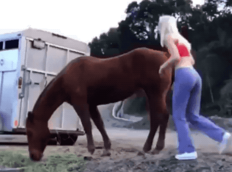 flaming fiascos collection of hot fails 29 gifs 1.html - 1 HD GIF | Premium Gallery 2024