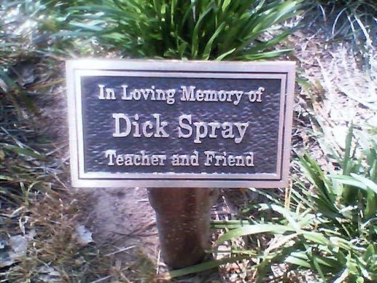 unbelievably real names cursed or blessed 41 pics 2.html - 41 HD Photos | Premium Gallery 2024