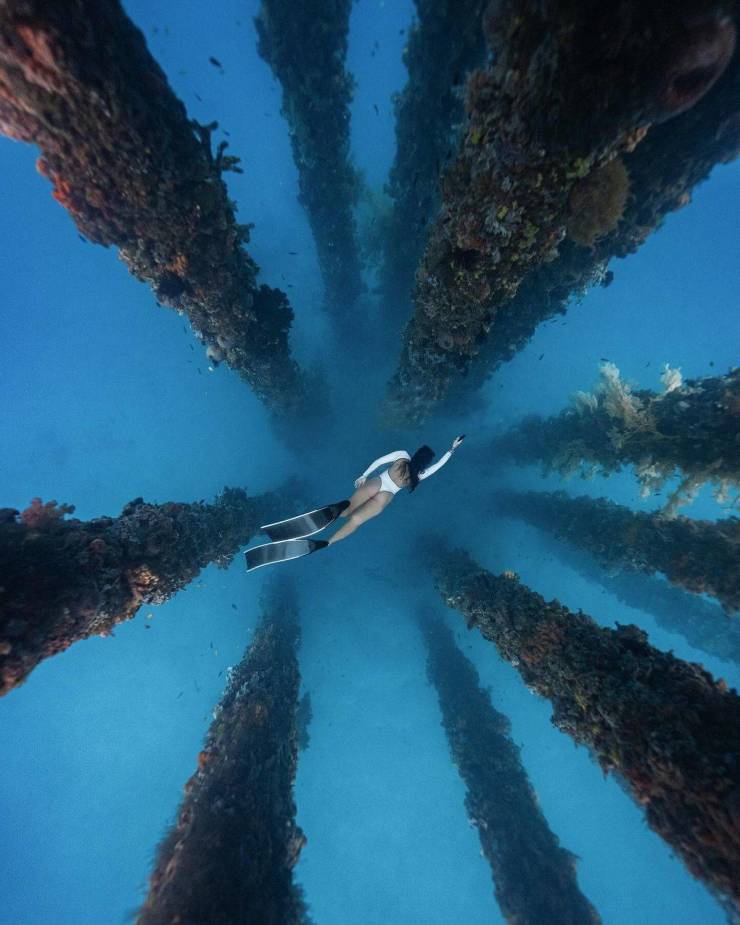 grownup corner 38 pics 2.html - 38 HD Photos | Premium Gallery 2024