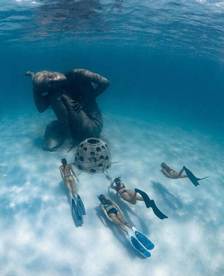 grownup corner 38 pics 2.html - 38 HD Photos | Premium Gallery 2024