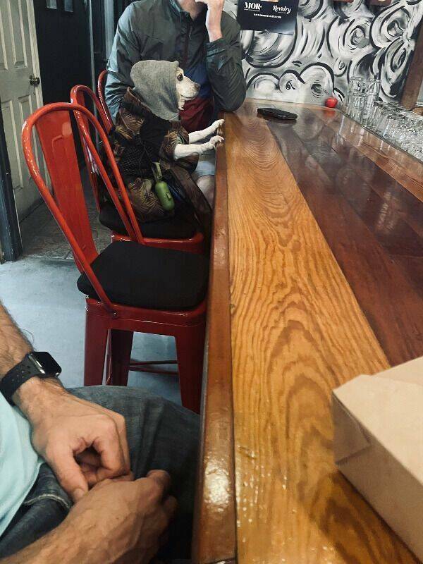 drinking time 44 pics 1 gif 5.html - 44 HD GIF | Premium Gallery 2024