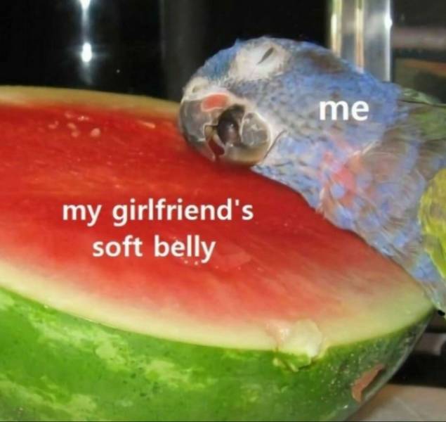 flirty memes to send your better half 34 pics 4.html - 34 HD Photos | Premium Gallery 2024