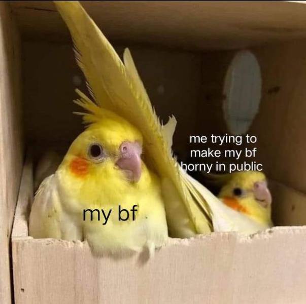 flirty memes to send your better half 34 pics 4.html - 34 HD Photos | Premium Gallery 2024