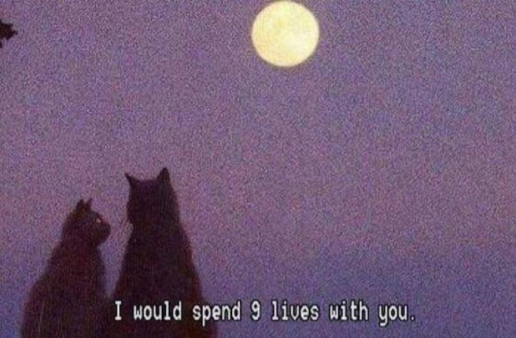 flirty memes to send your better half 34 pics 4.html - 34 HD Photos | Premium Gallery 2024