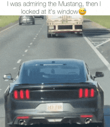 dirty minds only 27 gifs 2.html - 1 HD GIF | Premium Gallery 2024