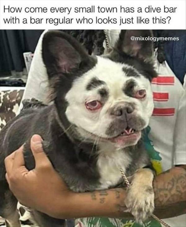 dirty minds only 32 pics 2 gifs 16.html - 32 HD GIF | Premium Gallery 2024