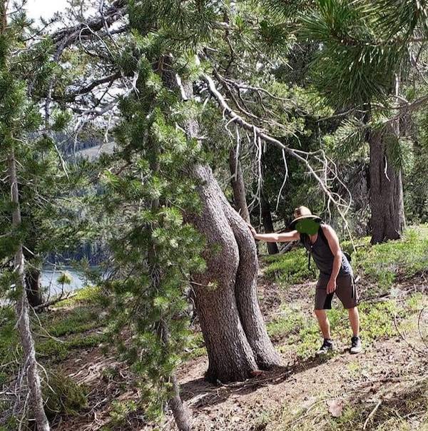 dirty minds only 32 pics 2 gifs 16.html - 32 HD GIF | Premium Gallery 2024