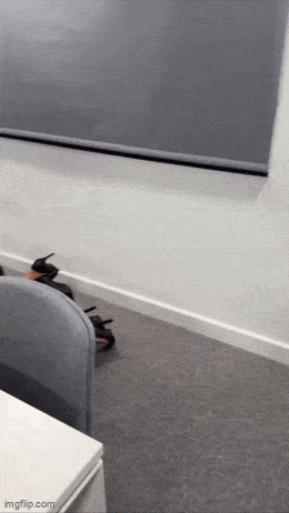 hot girls are here for you 31 gifs 7.html - 1 HD GIF | Premium Gallery 2024