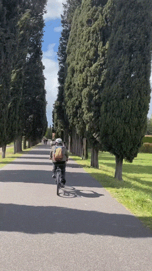 hottes wins and fails 27 gifs 5.html - 1 HD GIF | Premium Gallery 2024