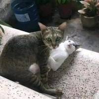 daily picdump 91 pics 2.html - 91 HD Photos | Premium Gallery 2017
