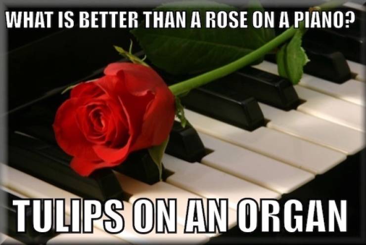 hilarious pg13 memes for all ages 38 pics 14.html - 38 HD Photos | Premium Gallery 2024