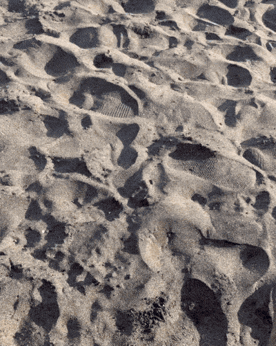 times when people caught influencers in action 15 gifs 7.html - 1 HD GIF | Premium Gallery 2024