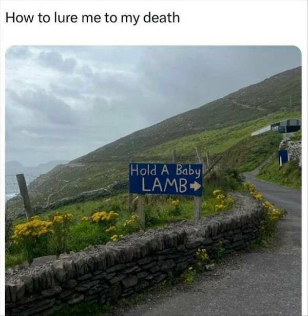 dirty minds are welcome 29 pics 2 gifs 9.html - 29 HD GIF | Premium Gallery 2024