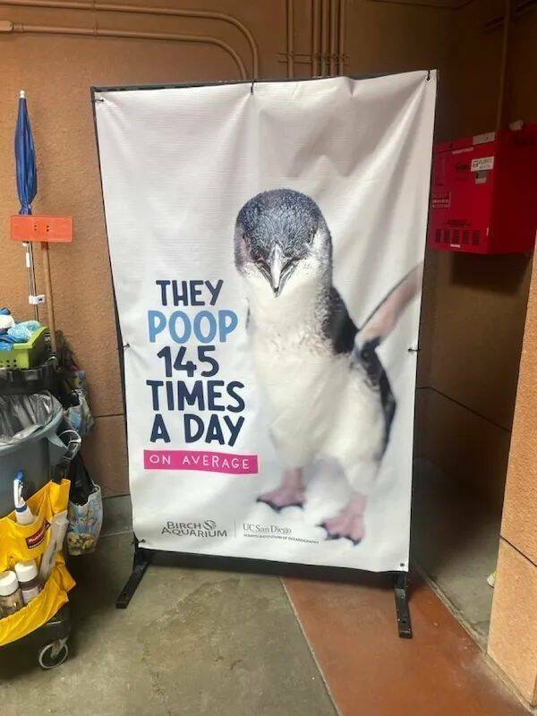 dirty minds only 37 pics 5.html - 37 HD Photos | Premium Gallery 2024