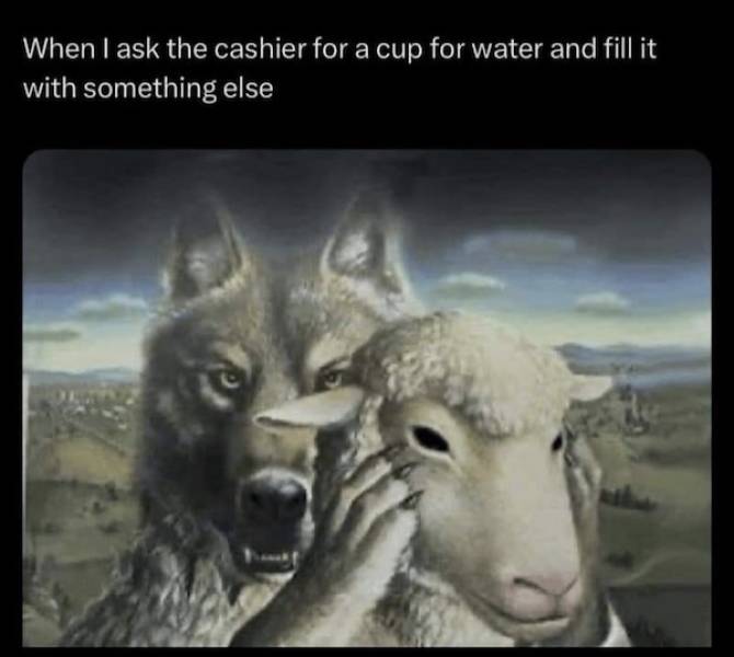 pg13 memes with rrated vibes 43 pics 7.html - 43 HD Photos | Premium Gallery 2024