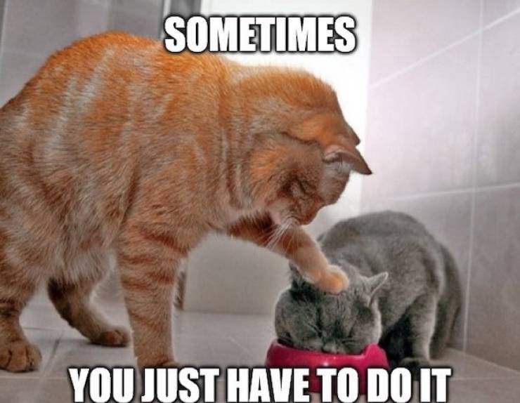 pg13 memes with rrated vibes 43 pics 7.html - 43 HD Photos | Premium Gallery 2024