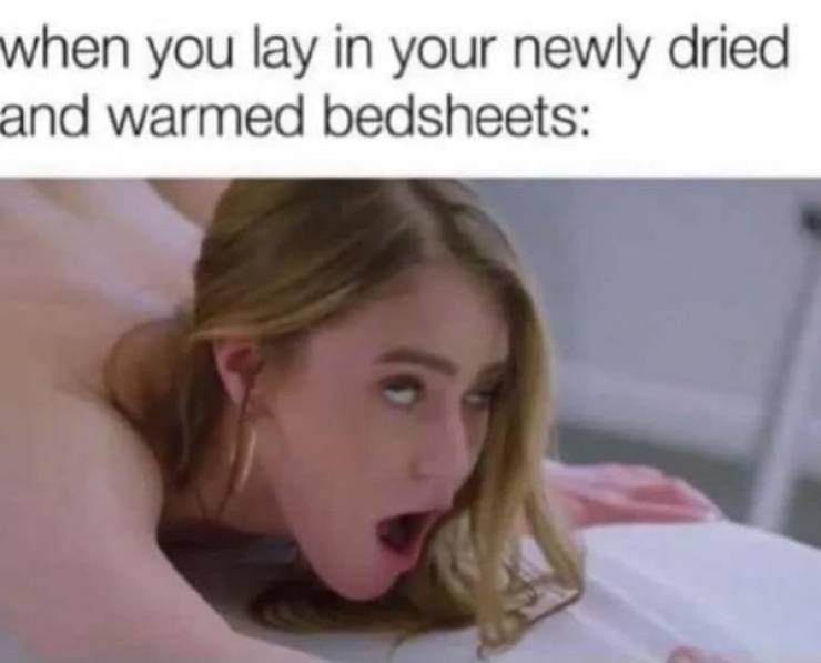 pg13 memes with rrated vibes 43 pics 7.html - 43 HD Photos | Premium Gallery 2024