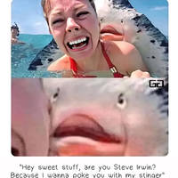 flirty memes to annoy your better half 29 pics 26.html - 29 HD Photos | Premium Gallery 2025