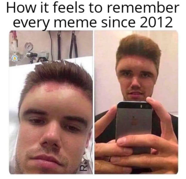 Memes That Are As Dank As They Get