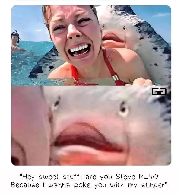 memes that are as dank as they get 30 pics 14.html - 30 HD Photos | Premium Gallery 2024