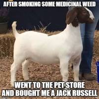 morning picdump 55 pics 8.html - 55 HD Photos | Premium Gallery 2016