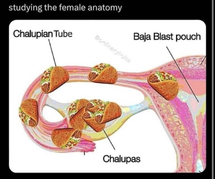 nsfw memes for grownups 31 pics 9.html - 31 HD Photos | Premium Gallery 2024