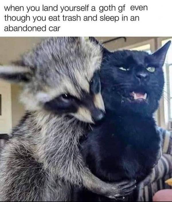 dirty and flirty memes to share with someone special 33 pics 3.html - 33 HD Photos | Premium Gallery 2024