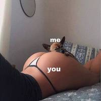 you wont be able to explain this 38 pics 19.html - 38 HD Photos | Premium Gallery 2019