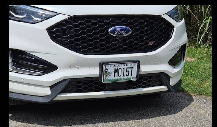 dirty minds only 41 pics 15.html - 41 HD Photos | Premium Gallery 2024