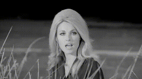 remembering the glamour of sharon tate 24 gifs 3.html - 1 HD GIF | Premium Gallery 2024