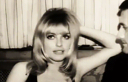 remembering the glamour of sharon tate 24 gifs 3.html - 1 HD GIF | Premium Gallery 2024