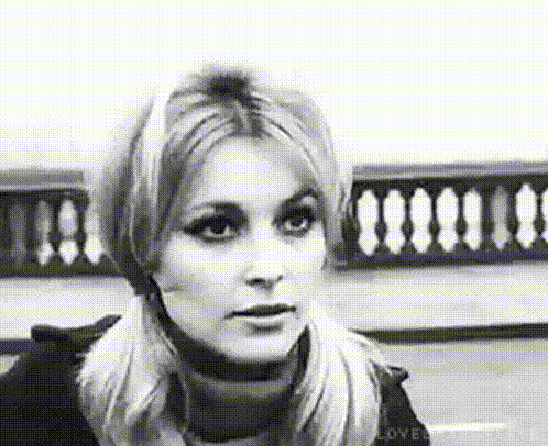 remembering the glamour of sharon tate 24 gifs 3.html - 1 HD GIF | Premium Gallery 2024