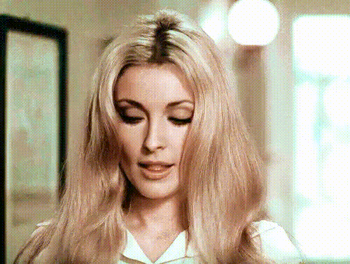 remembering the glamour of sharon tate 24 gifs 3.html - 1 HD GIF | Premium Gallery 2024