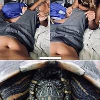 daily picdump 101 pics 20.html - 101 HD Photos | Premium Gallery 2016