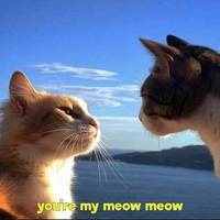 funny picdump 53 pics 4.html - 53 HD Photos | Premium Gallery 2014