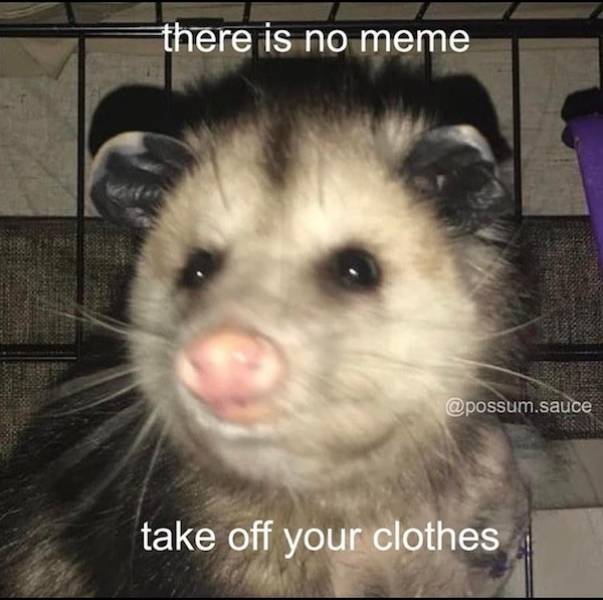 flirty memes to send your better half 30 pics 3.html - 30 HD Photos | Premium Gallery 2024