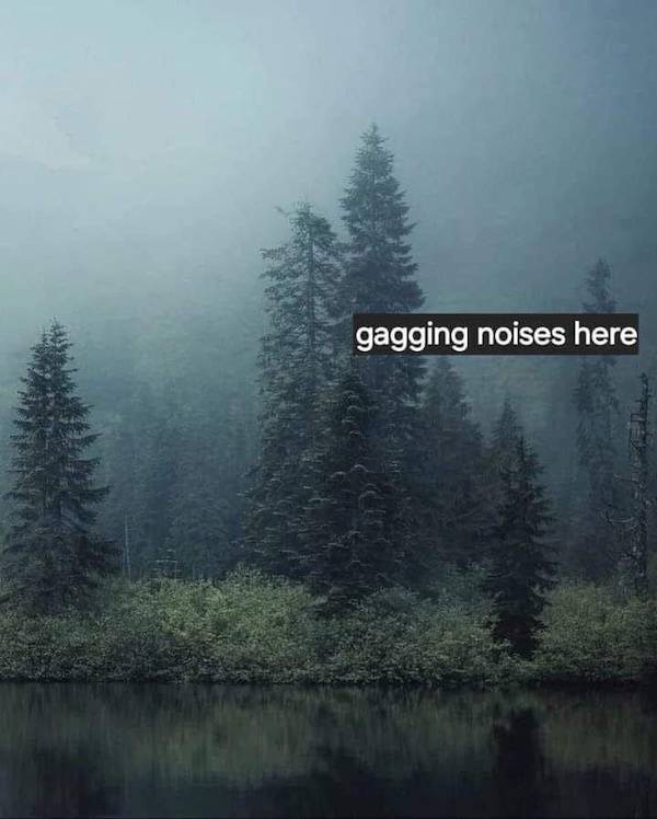 flirty memes to send your better half 30 pics 3.html - 30 HD Photos | Premium Gallery 2024