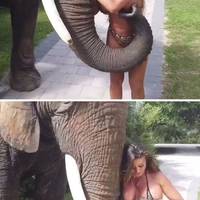 daily picdump 101 pics 3.html - 101 HD Photos | Premium Gallery 2017