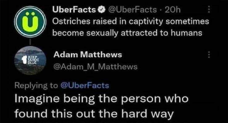 Dirty Minds Only!