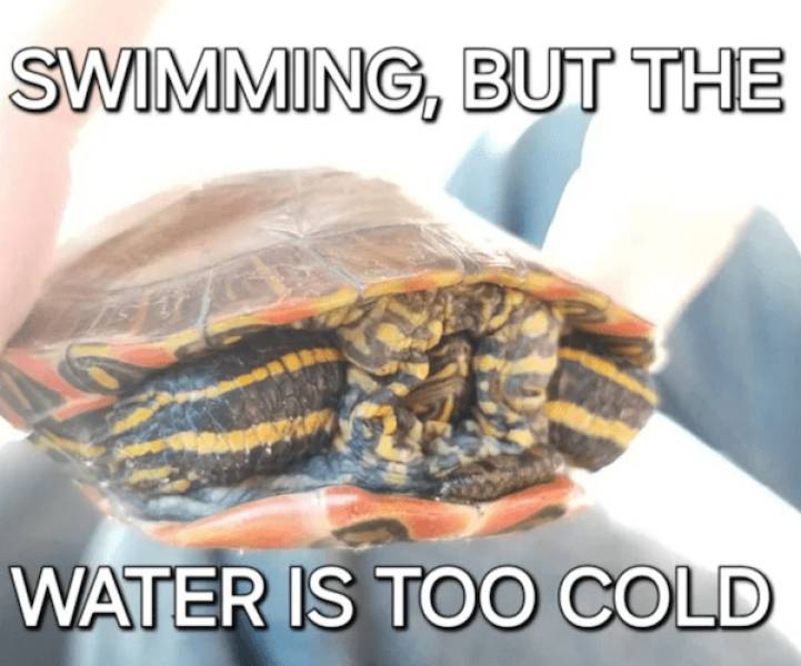 dirty minds only 34 pics 7.html - 34 HD Photos | Premium Gallery 2024