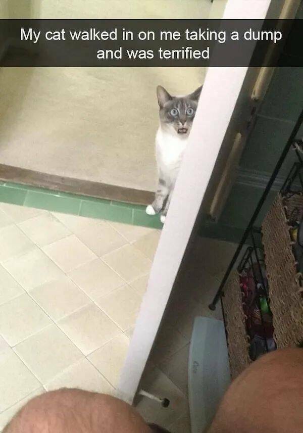 dirty minds only 38 pics 15.html - 38 HD Photos | Premium Gallery 2024