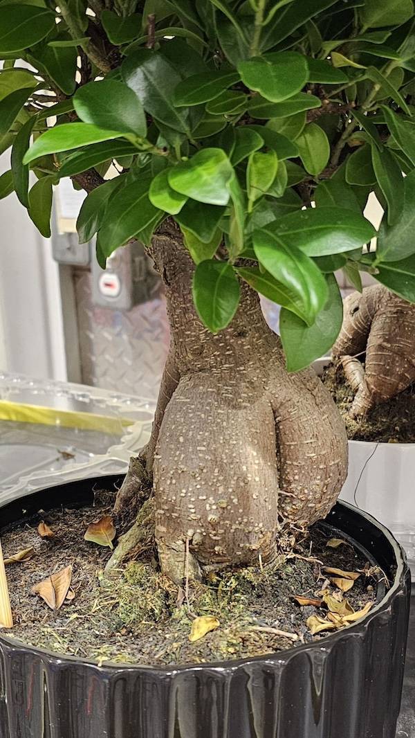 dirty minds are welcome 36 pics 2 gifs 2.html - 36 HD GIF | Premium Gallery 2024