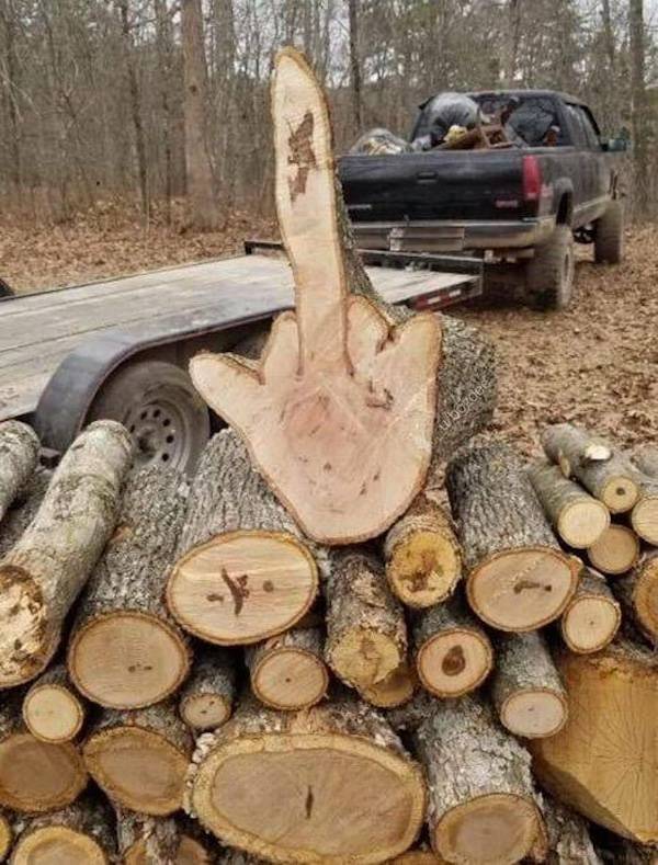 dirty minds are welcome 36 pics 2 gifs 2.html - 36 HD GIF | Premium Gallery 2024