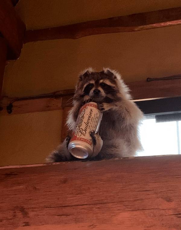 drinking never ends 38 pics 2 gifs 36.html - 38 HD GIF | Premium Gallery 2024