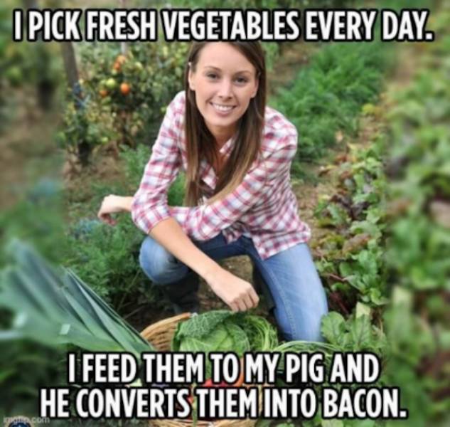 slightly naughty memes for a flirty laugh 42 pics 5.html - 42 HD Photos | Premium Gallery 2024