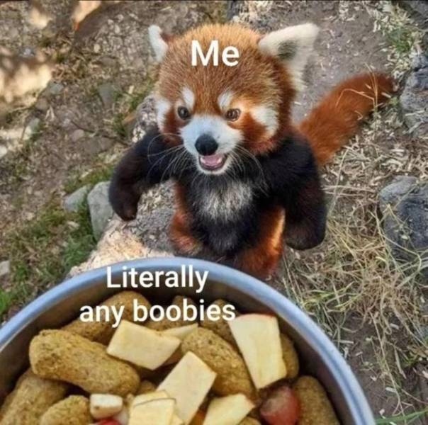 NSFW Laughs For Grown-Ups