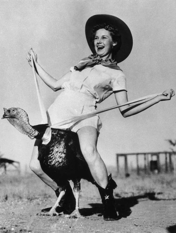 Retro Thanksgiving Pinups With Unexpected Vibes