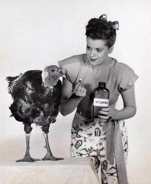 Retro Thanksgiving Pinups With Unexpected Vibes