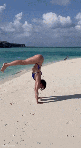 hot girls are here for you 32 gifs 1.html - 1 HD GIF | Premium Gallery 2024