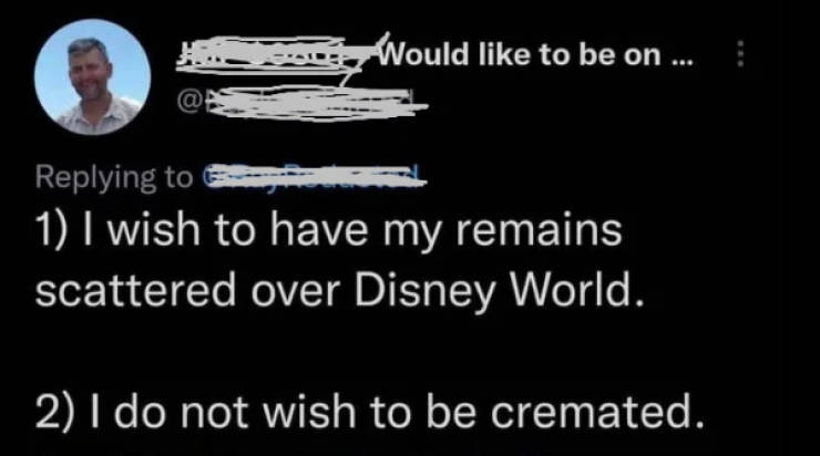 now wait a minute 25 pics 25.html - 25 HD Photos | Premium Gallery 2024